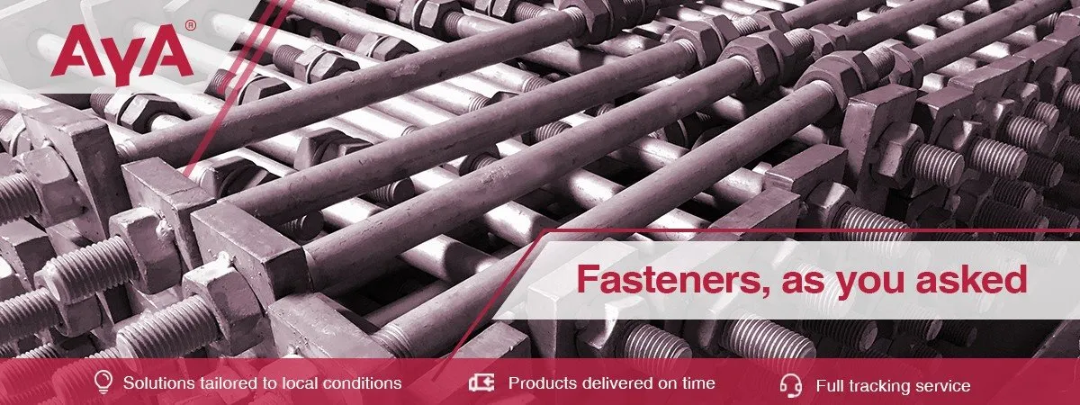 Stainless Steel Foundation Bolts-AYA